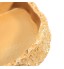 ATUO - Food Water Dish Bowl Feeder Terrarium